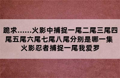 跪求……火影中捕捉一尾二尾三尾四尾五尾六尾七尾八尾分别是哪一集 火影忍者捕捉一尾我爱罗